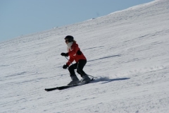 SONY DSC