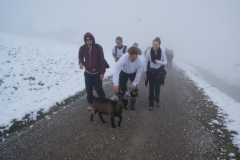 sport_koessen_2012_03