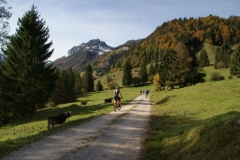 sport_koessen_2012_10