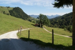sport_koessen_2014_07