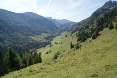 sport_koessen_2014_08
